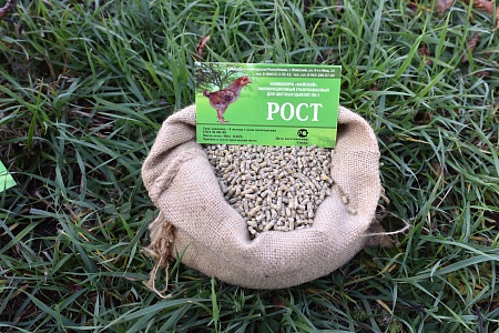 «Рост» мясо-яичных пород (22-63 день)